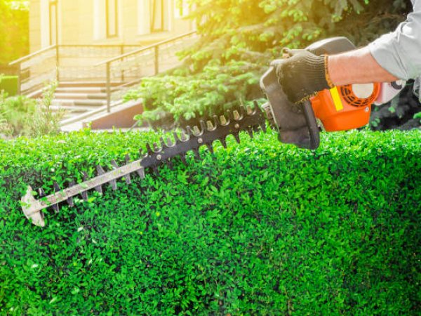 Hedges, Lawns and Gardens