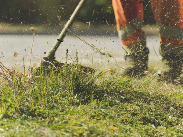 Weedspraying, Fertilising, Dethatching, Oversowing, Edging &amp; Mowing. Home and Commercial